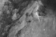 The Pelican Nebula (Cygnus)