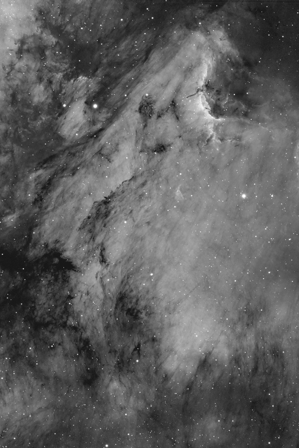 IC 5070, THE PELICAN NEBULA, CYGNUS